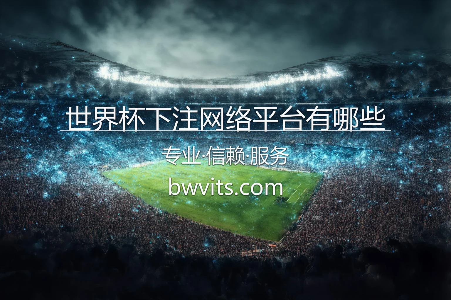 世界杯下注网络平台有哪些官方合规渠道